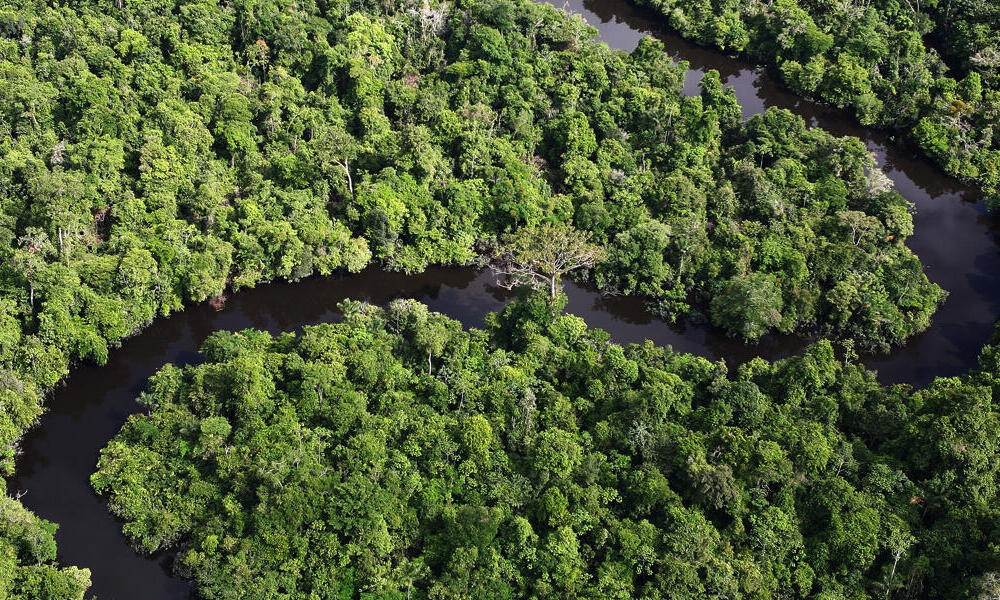 Độ dài thực tế của sông Amazon là bao nhiêu? Ảnh: WWF
