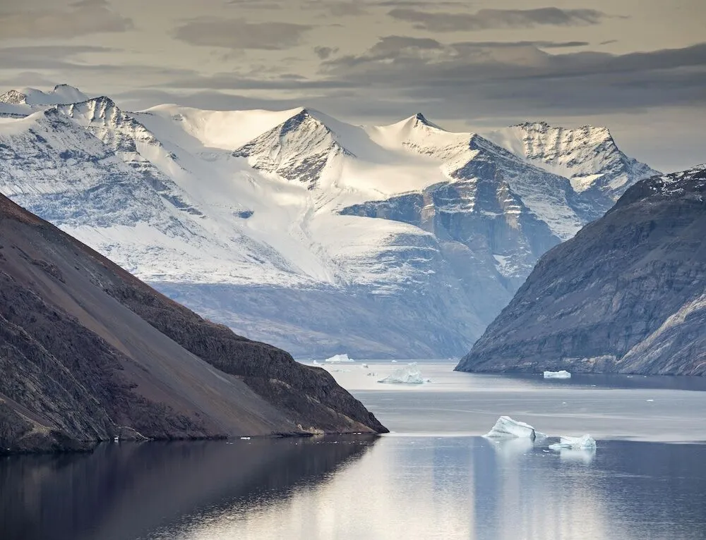 Sườn núi tuyết và tảng băng trôi ở Blomsterbugten, Kejser Franz Joseph Fjord, Công viên quốc gia Đông Bắc Greenland. Ảnh: Olaf Kruger / imageBROKER / Getty Images