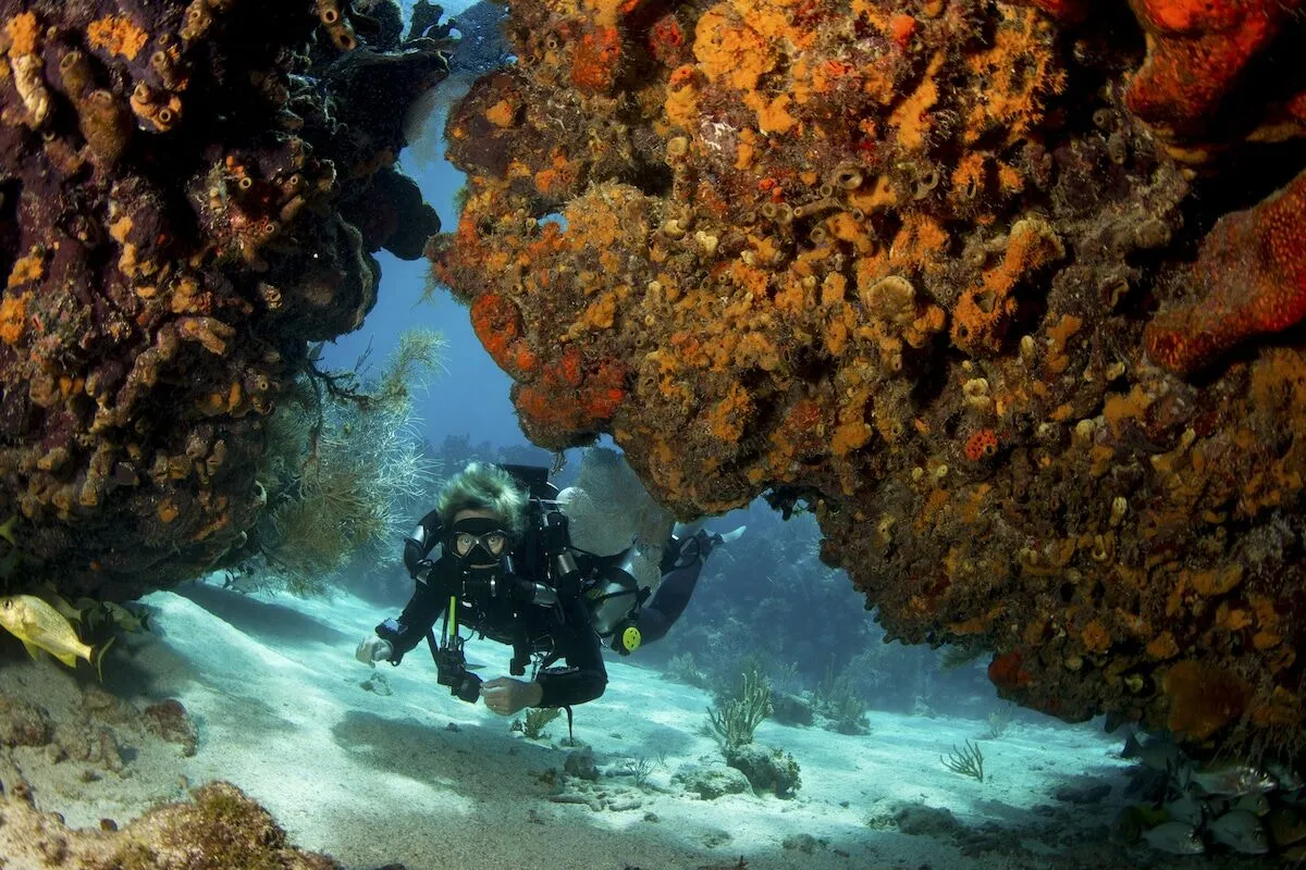 Một thợ lặn đang khám phá các rạn san hô ở Key Largo, Florida. Ảnh: Stephen Frink / The Image Bank / Getty Images