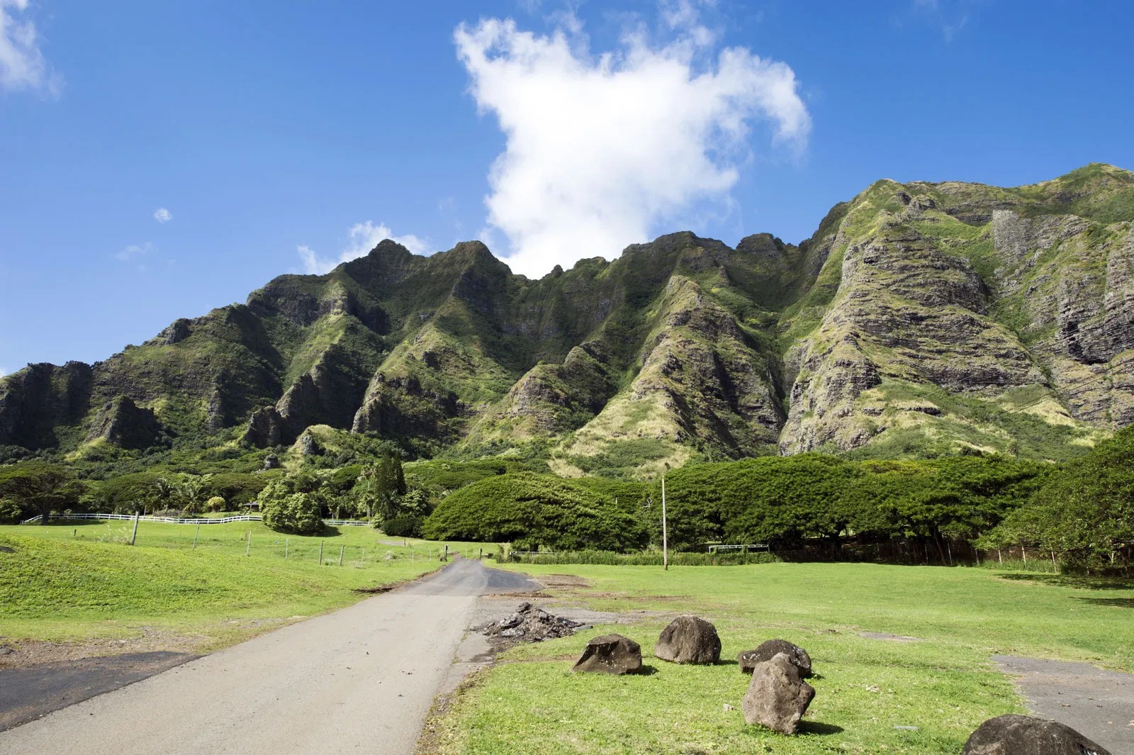 Trang trại Kualoa, Oahu, Hawaii. Ảnh: norinori303/Fotolia