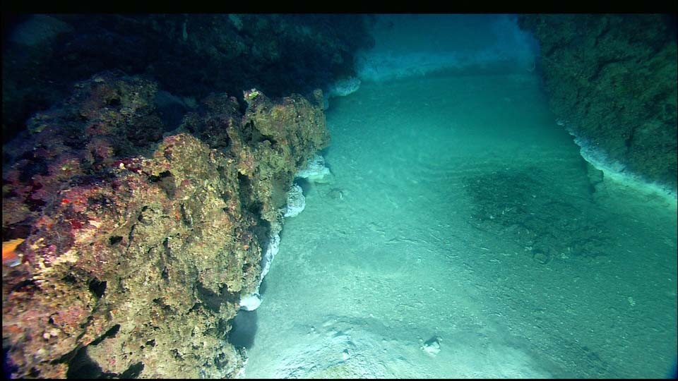 Một vết nước muối thấm ở chân Bờ Vườn Hoa Đông ở độ sâu khoảng 240 feet. Chỗ rò rỉ nằm trong Khu bảo tồn biển quốc gia Flower Garden Banks ở Vịnh Mexico. Nó được hình thành từ nước siêu mặn chảy từ dưới đáy biển. Hình ảnh được ROV Argus chụp trong khuôn khổ Cuộc thám hiểm bí mật vùng Vịnh vào tháng 3 năm 2007. Nguồn: Quỹ Nghiên cứu Biển và Quỹ Thám hiểm Đại dương