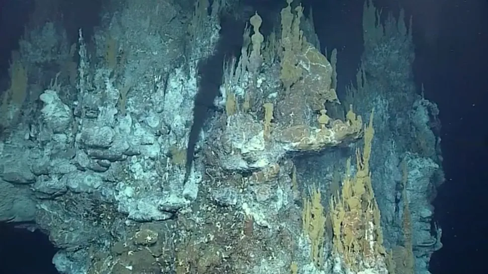 Vi khuẩn cực đoan sống gần các miệng phun thủy nhiệt trên Trái đất và có thể cung cấp manh mối về cách sự sống có thể tồn tại ở các thế giới khác. (Ảnh: NASA)