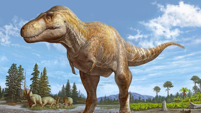 Loài mới được phát hiện, Tyrannosaurs mcraeensis, có kích thước tương đương với khủng long bạo chúa T. rex và thậm chí có thể còn lớn hơn. (Ảnh: Sergei Krasinski) Loài mới được phát hiện, Tyrannosaurs mcraeensis, có kích thước tương đương với khủng long bạo chúa T. rex và thậm chí có thể còn lớn hơn. (Ảnh: Sergei Krasinski)