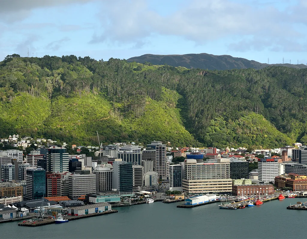 Toàn cảnh trung tâm thành phố Wellington, New Zealand từ trên cao. Ảnh: Getty Images
