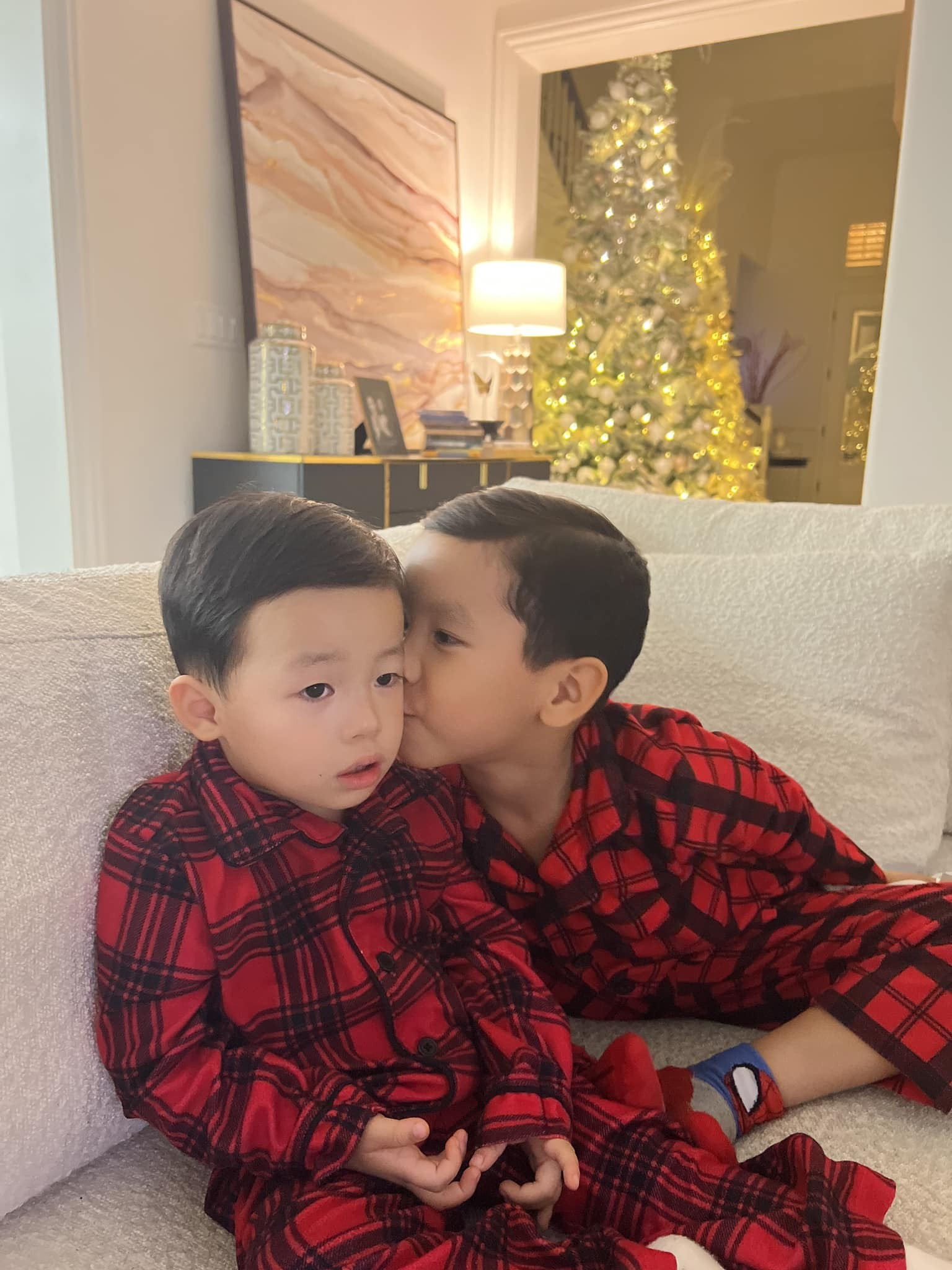 Hai con trai thường được Phạm Hương cho 'lên sóng'