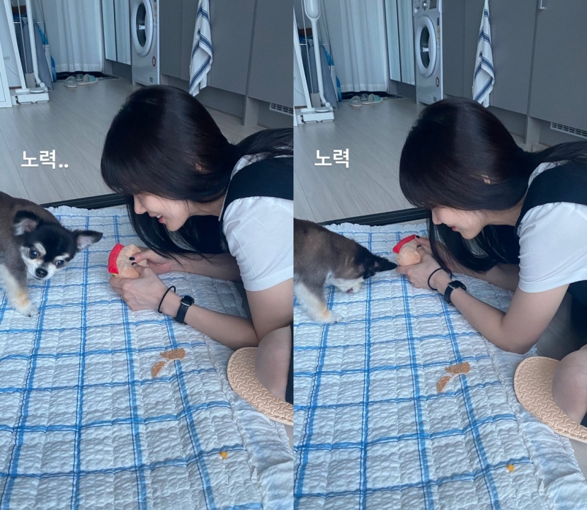 Jang Nara hạnh phúc hậu kết hôn Jang Nara hạnh phúc hậu kết hôn