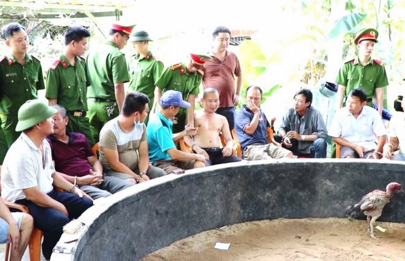 Tin tức pháp luật 24h: Hơn 100 công an đột kích sới gà trong quán cà phê. Ảnh VOV Tin tức pháp luật 24h: Hơn 100 công an đột kích sới gà trong quán cà phê. Ảnh VOV
