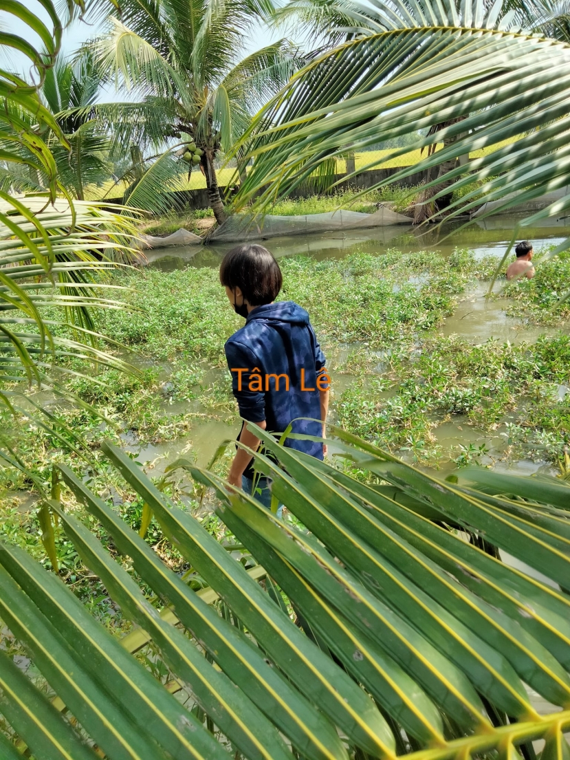 Hồ Văn Cường lội ao cùng bố ruột, để lộ vóc dáng gầy gò. Ảnh internet Hồ Văn Cường lội ao cùng bố ruột, để lộ vóc dáng gầy gò. Ảnh internet