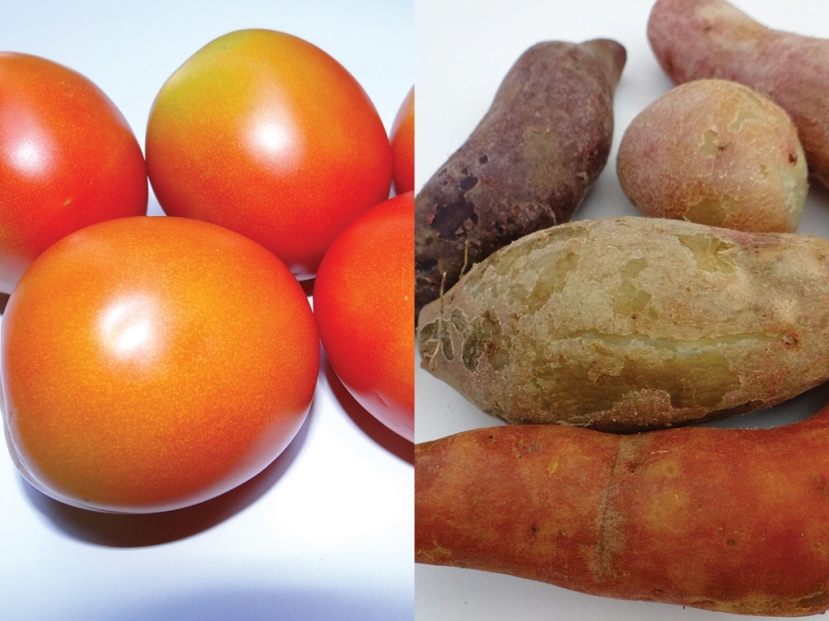 3 loại quả tuyệt đối không nên kết hợp với khoai lang kẻo rước họa vào thân 3 loại quả tuyệt đối không nên kết hợp với khoai lang kẻo rước họa vào thân