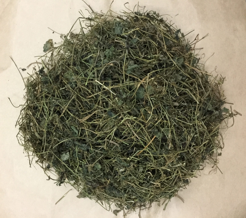 Tác dụng cây giảo cổ lam, loại cây từng khiến các mỹ nữ cung tần xưa săn tìm - Ảnh 2 Tác dụng cây giảo cổ lam, loại cây từng khiến các mỹ nữ cung tần xưa săn tìm - Ảnh 2