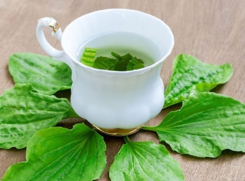 Loại cây mọc dại cho không ai lấy hóa ra lại tốt như 'tiên dược', nhiều người không biết để dùng - Ảnh 2 Loại cây mọc dại cho không ai lấy hóa ra lại tốt như 'tiên dược', nhiều người không biết để dùng - Ảnh 2