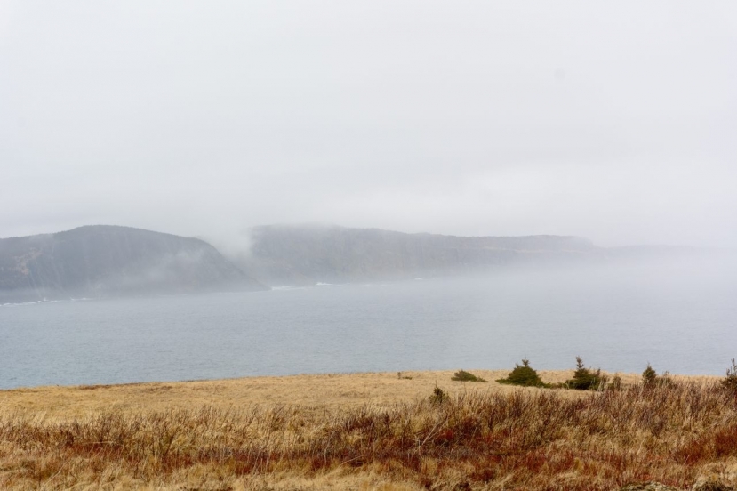 Newfoundland, nổi tiếng với sương mù dày đặc và cảnh quan tuyệt đẹp, dường như là địa điểm thích hợp cho 'Đảo quỷ' bí ẩn, được cho là tồn tại ngay ngoài mũi phía bắc của Newfoundland. Newfoundland, nổi tiếng với sương mù dày đặc và cảnh quan tuyệt đẹp, dường như là địa điểm thích hợp cho 'Đảo quỷ' bí ẩn, được cho là tồn tại ngay ngoài mũi phía bắc của Newfoundland.