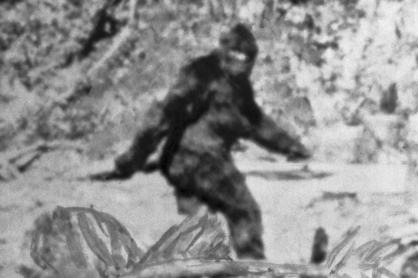 Phát hiện chấn động đầu năm 2024 về quái vật hình người huyền thoại Bigfoot - Ảnh 1 Phát hiện chấn động đầu năm 2024 về quái vật hình người huyền thoại Bigfoot - Ảnh 1