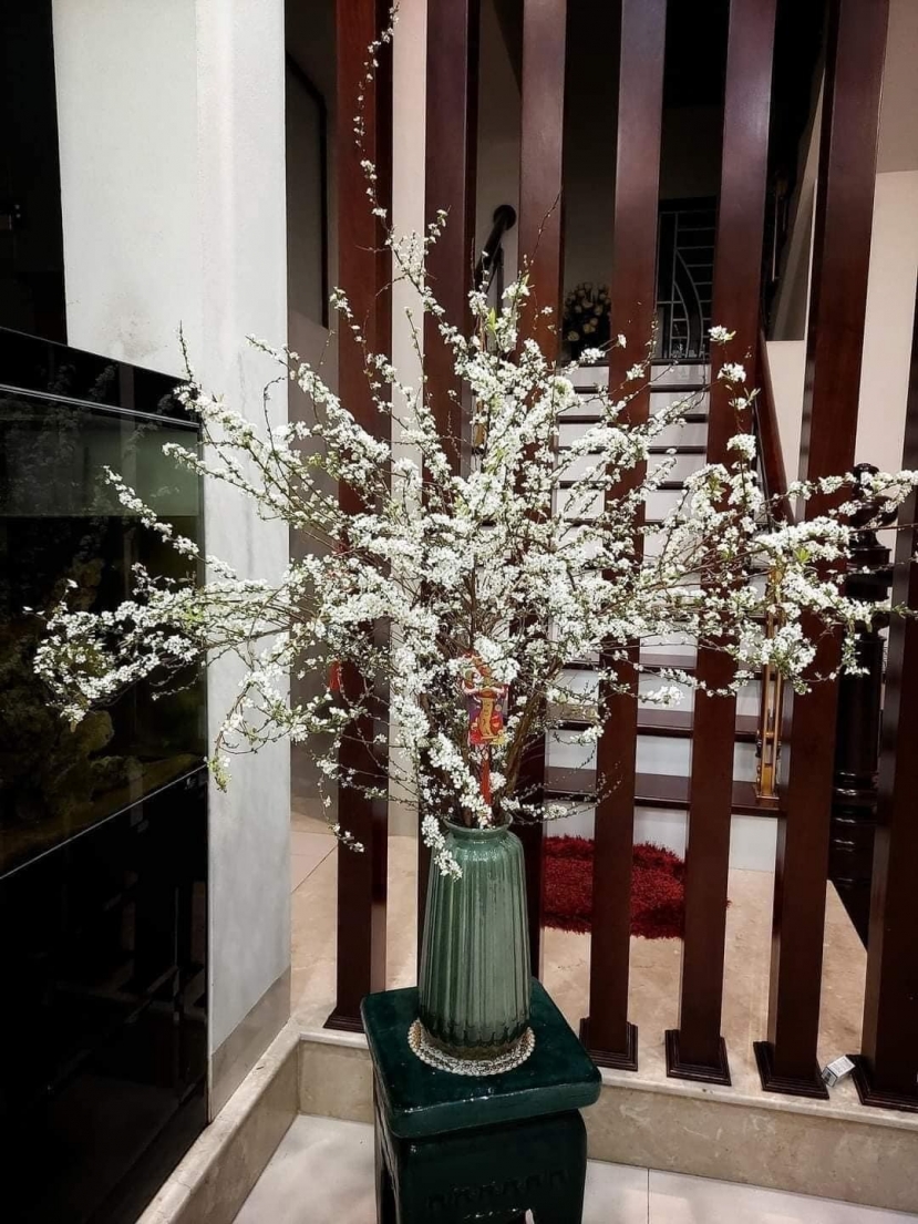 Hướng dẫn chọn tuyết mai đẹp chơi tết, lưu ý cách cắm tuyết mai sao cho bền đẹp nhất - Ảnh 3 Hướng dẫn chọn tuyết mai đẹp chơi tết, lưu ý cách cắm tuyết mai sao cho bền đẹp nhất - Ảnh 3