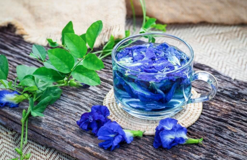 Hoa đậu biếc còn là biểu tượng cho người phụ nữ, mang ý nghĩa thủy chung sâu sắc. Ngắn nhìn đậu biếc, bạn sẽ thấy nhẹ nhàng, tĩnh lặng và sâu lắng. Hoa đậu biếc còn là biểu tượng cho người phụ nữ, mang ý nghĩa thủy chung sâu sắc. Ngắn nhìn đậu biếc, bạn sẽ thấy nhẹ nhàng, tĩnh lặng và sâu lắng.