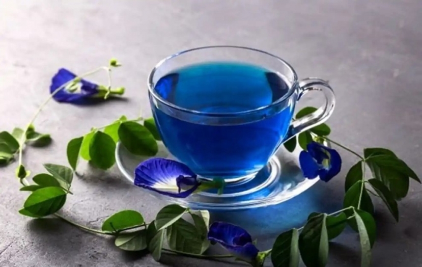 Công dụng tuyệt vời của hoa đậu biếc: Vừa có tác dụng làm đẹp, lại có thể ngăn ngừa nhiều bệnh - Ảnh 1 Công dụng tuyệt vời của hoa đậu biếc: Vừa có tác dụng làm đẹp, lại có thể ngăn ngừa nhiều bệnh - Ảnh 1