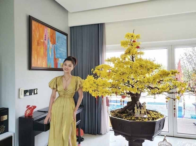 Siêu mẫu Vũ Thu Phương kể lại chuyện nhà bị trộm đột nhập, lấy sạch tài sản có giá trị - Ảnh 1 Siêu mẫu Vũ Thu Phương kể lại chuyện nhà bị trộm đột nhập, lấy sạch tài sản có giá trị - Ảnh 1