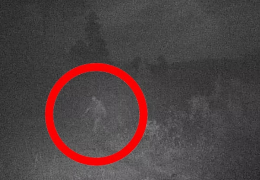 Mysterious character captured on camera suspected to be Bigfoot.