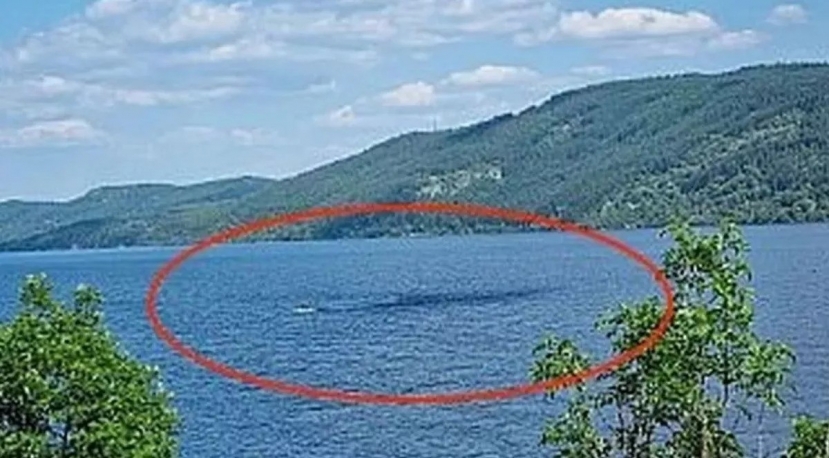 Công bố 9 trường hợp nhìn thấy quái vật hồ Loch Ness trong năm 2023, còn có cả ảnh chi tiết rõ rệt nhất từ trước tới nay - Ảnh 5 Công bố 9 trường hợp nhìn thấy quái vật hồ Loch Ness trong năm 2023, còn có cả ảnh chi tiết rõ rệt nhất từ trước tới nay - Ảnh 5