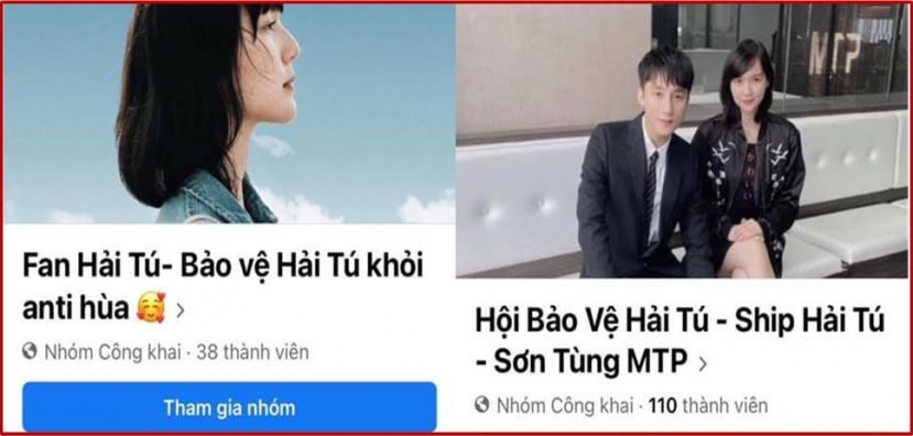 Nhiều hội nhóm lên tiếng bảo vệ và bênh vực Hải Tú. Ảnh: Facebook Nhiều hội nhóm lên tiếng bảo vệ và bênh vực Hải Tú. Ảnh: Facebook