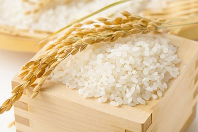 Giá lúa gạo hôm nay 17/8, giá lúa đồng loạt giảm mạnh trong khi giá gạo có xu hướng đi ngang. Ảnh: Internet Giá lúa gạo hôm nay 17/8, giá lúa đồng loạt giảm mạnh trong khi giá gạo có xu hướng đi ngang. Ảnh: Internet
