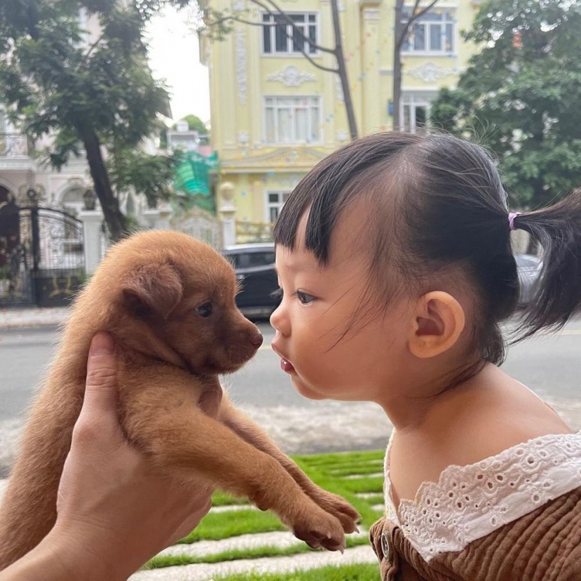 Bé Suchin - nhân vật nhí quyền lực trong gia đình Đàm Thu Trang. Ảnh: Internet Bé Suchin - nhân vật nhí quyền lực trong gia đình Đàm Thu Trang. Ảnh: Internet