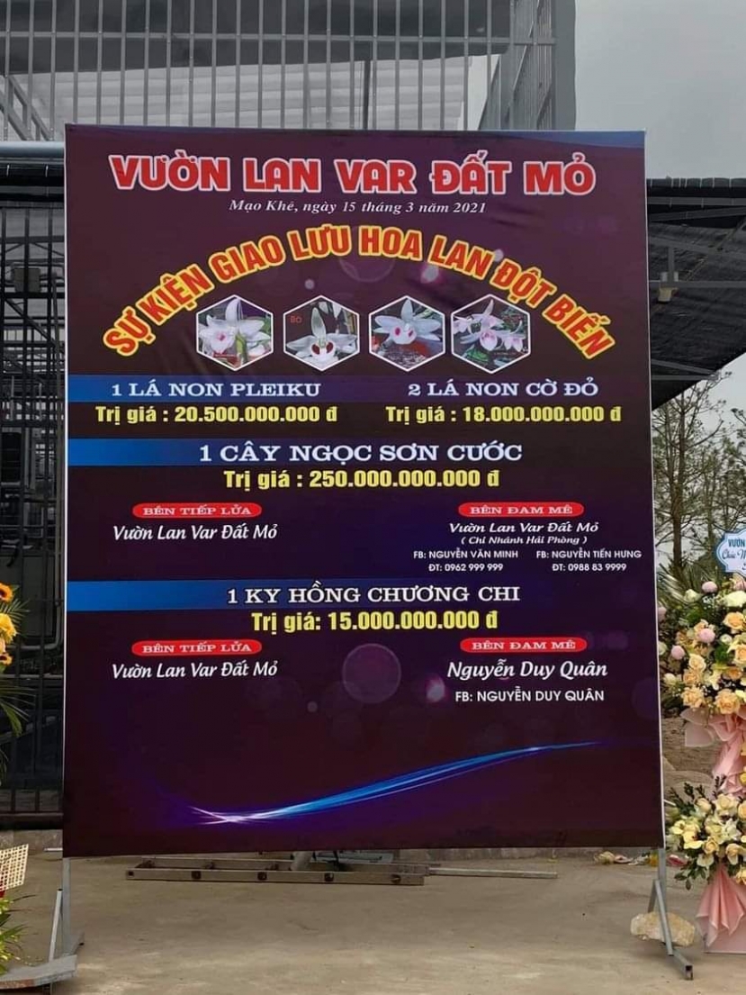 Thương vụ chuyển nhượng Ngọc Sơn Cước 250 tỷ ở Quảng Ninh. Ảnh FB Thương vụ chuyển nhượng Ngọc Sơn Cước 250 tỷ ở Quảng Ninh. Ảnh FB
