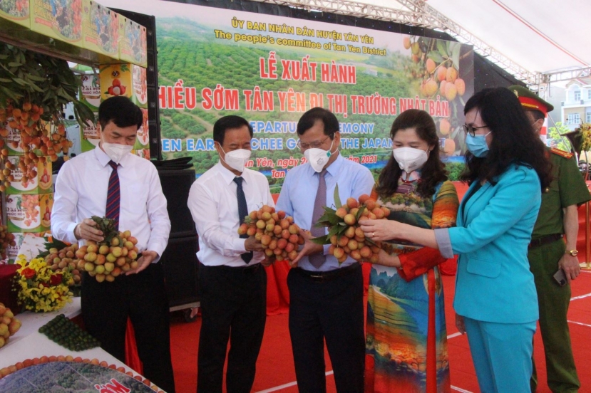 Theo thống kê, năm 2021, diện tích vải của tỉnh Bắc Giang đạt 28.100 ha, sản lượng ước đạt 180.000 tấn (tăng khoảng 15.000 tấn so với năm 2020). Ảnh: Sở Công thương BG Theo thống kê, năm 2021, diện tích vải của tỉnh Bắc Giang đạt 28.100 ha, sản lượng ước đạt 180.000 tấn (tăng khoảng 15.000 tấn so với năm 2020). Ảnh: Sở Công thương BG