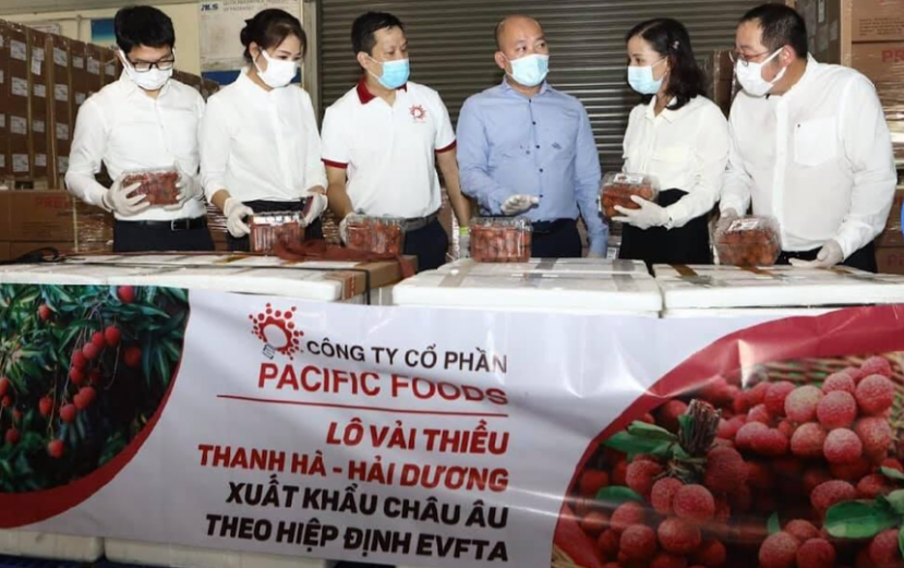 Lô vải thiều đầu tiên xuất khẩu đi EU theo Hiệp định Thương mại tự do Lô vải thiều đầu tiên xuất khẩu đi EU theo Hiệp định Thương mại tự do