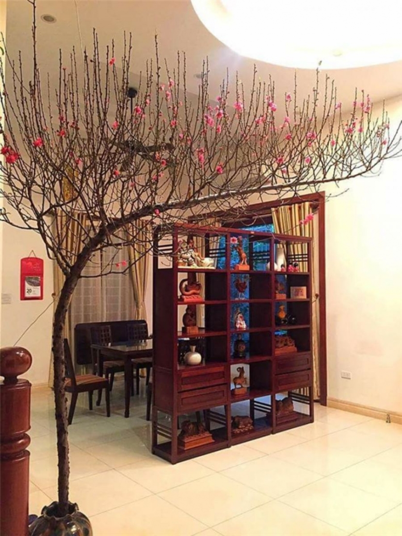 Những năm gần đây, rộ lên xu hướng chơi đào dáng huyền. Những năm gần đây, rộ lên xu hướng chơi đào dáng huyền.