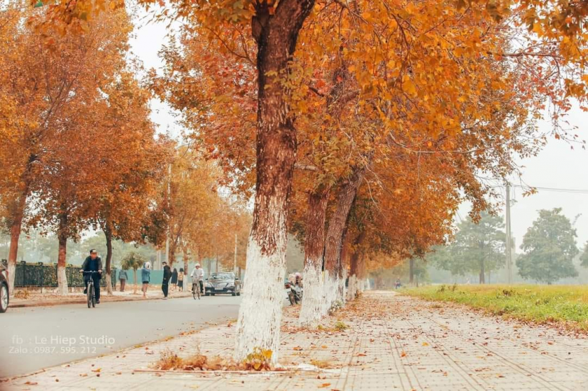 Hình ảnh đường lá phong rực đỏ ở Hà Nội được chia sẻ trên mạng xã hội (Ảnh Facebook) Hình ảnh đường lá phong rực đỏ ở Hà Nội được chia sẻ trên mạng xã hội (Ảnh Facebook)