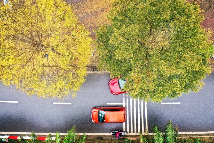 Sự thật 'ngã ngửa' về thiên đường mùa Thu Hà Nội giữa tiết trời nồm ẩm tháng 3 - Ảnh 2 Sự thật 'ngã ngửa' về thiên đường mùa Thu Hà Nội giữa tiết trời nồm ẩm tháng 3 - Ảnh 2