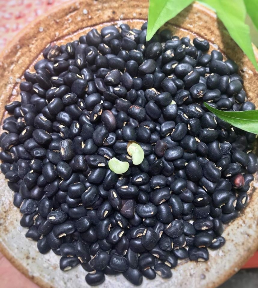 Công dụng 'thần dược' của đậu đen xanh lòng không phải ai cũng biết - Ảnh 1 Công dụng 'thần dược' của đậu đen xanh lòng không phải ai cũng biết - Ảnh 1