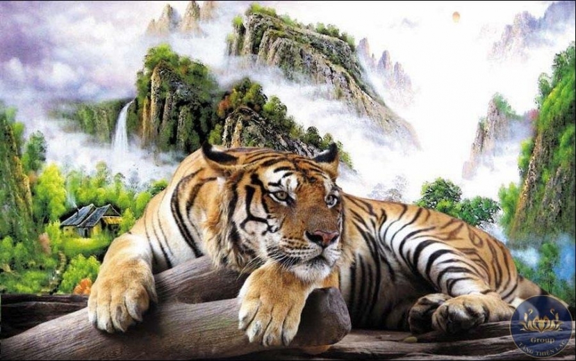 Ảnh minh họa Ảnh minh họa