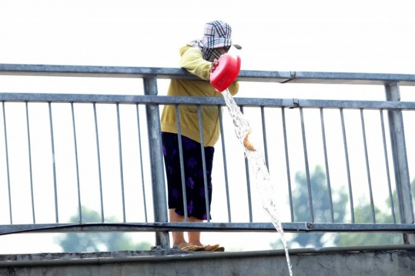 Ảnh minh họa Ảnh minh họa