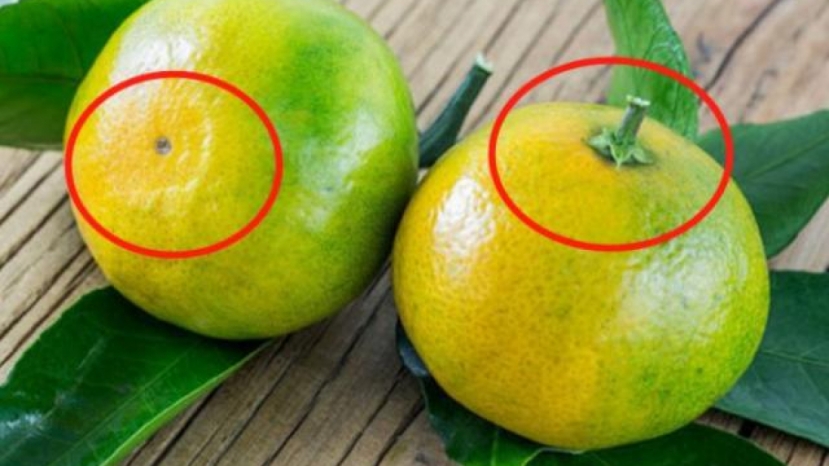 Đang trong giai đoạn chuyển mùa, bạn có thể ngâm vỏ cam với nước gừng và đường nâu (hoặc mật ong), sắc thành nước uống để giảm ho. Đang trong giai đoạn chuyển mùa, bạn có thể ngâm vỏ cam với nước gừng và đường nâu (hoặc mật ong), sắc thành nước uống để giảm ho.
