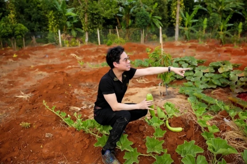 Showbiz trưa 4/5: Mỹ Tâm đăng đàn ẩn ý, Ngọc Trinh diện váy ‘cắt xẻ nức nở’, Ngọc Sơn ‘khoe’ mảnh vườn 2ha - Ảnh 3 Showbiz trưa 4/5: Mỹ Tâm đăng đàn ẩn ý, Ngọc Trinh diện váy ‘cắt xẻ nức nở’, Ngọc Sơn ‘khoe’ mảnh vườn 2ha - Ảnh 3