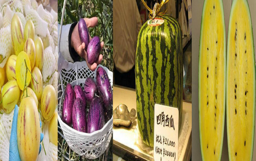 Những loại dưa hấu độc đáo trên thế giới có giá 'chát' Những loại dưa hấu độc đáo trên thế giới có giá 'chát'
