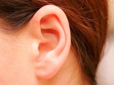 Phụ nữ sở hữu đôi tai dày dặn thì sẽ may mắn về mọi mặt. Họ còn là quý nhân của gia đình. Ảnh minh họa: Internet Phụ nữ sở hữu đôi tai dày dặn thì sẽ may mắn về mọi mặt. Họ còn là quý nhân của gia đình. Ảnh minh họa: Internet