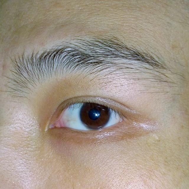 Người có lông mày mọc ngược thì tính tình nóng nảy, hay cáu kỉnh, ứng xử không khéo léo. Vì vậy họ cũng không được may mắn trong cuộc sống. Ảnh minh họa: Internet Người có lông mày mọc ngược thì tính tình nóng nảy, hay cáu kỉnh, ứng xử không khéo léo. Vì vậy họ cũng không được may mắn trong cuộc sống. Ảnh minh họa: Internet