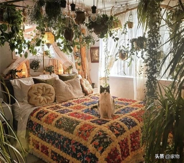 Phòng ngủ mà nhiều cây xanh thì sẽ thiếu dưỡng khí. Ảnh minh họa: Internet Phòng ngủ mà nhiều cây xanh thì sẽ thiếu dưỡng khí. Ảnh minh họa: Internet