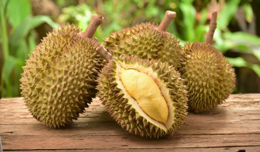 Nếu bạn ăn sầu riêng mỗi ngày, sau một thời gian điều gì sẽ xảy ra? - Ảnh 1 Nếu bạn ăn sầu riêng mỗi ngày, sau một thời gian điều gì sẽ xảy ra? - Ảnh 1