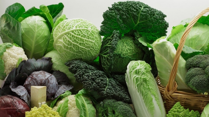Vào mùa đông, chúng ta cần tăng cường bổ sung thực phẩm giàu vitamin để tăng cường sức đề kháng cho cơ thể. Ảnh minh họa: Internet Vào mùa đông, chúng ta cần tăng cường bổ sung thực phẩm giàu vitamin để tăng cường sức đề kháng cho cơ thể. Ảnh minh họa: Internet