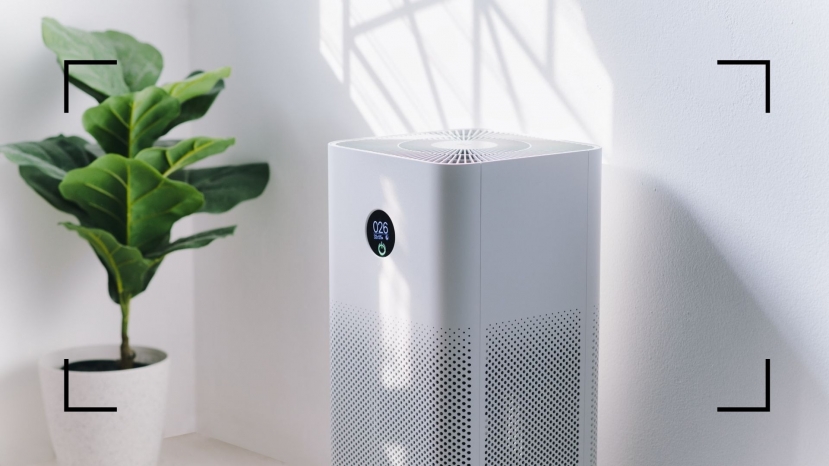 15 công dụng máy lọc không khí: Thần kỳ tới mức ai cũng nên sắm một cái - Ảnh 4 15 công dụng máy lọc không khí: Thần kỳ tới mức ai cũng nên sắm một cái - Ảnh 4