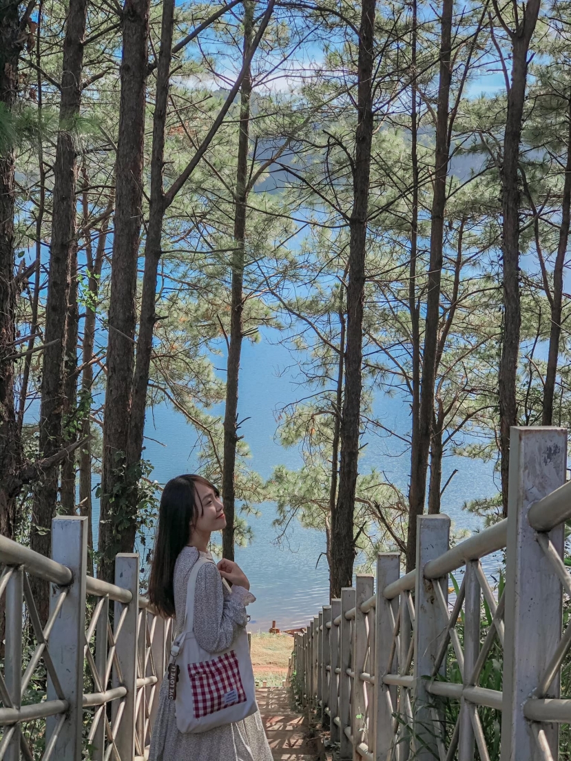 Nơi được mệnh danh là 'thành phố ngủ ngon nhất Việt Nam' bạn đã đến chưa? - Ảnh 1 Nơi được mệnh danh là 'thành phố ngủ ngon nhất Việt Nam' bạn đã đến chưa? - Ảnh 1