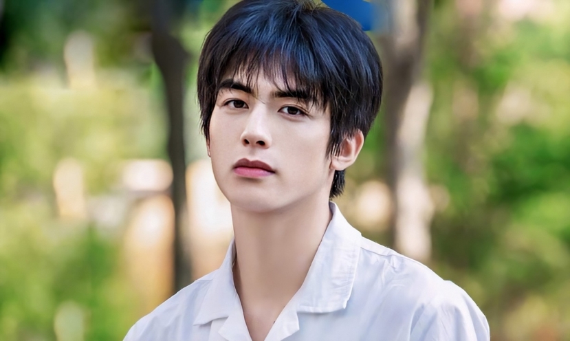 Tống Uy Long thoát mác 'diễn đơ', trở thành 'tiểu thịt tươi' của giải trí Hoa ngữ - Ảnh 8 Tống Uy Long thoát mác 'diễn đơ', trở thành 'tiểu thịt tươi' của giải trí Hoa ngữ - Ảnh 8