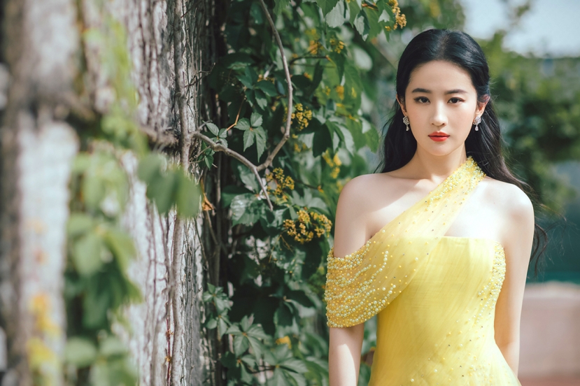 Lưu Diệc Phi Lưu Diệc Phi