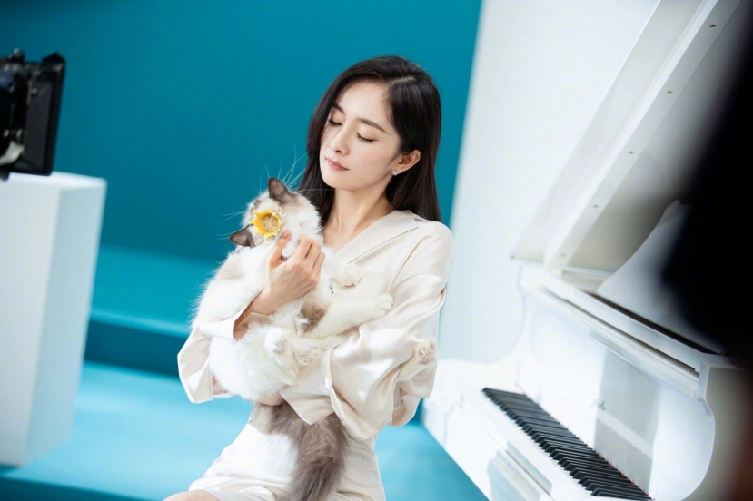 Nghẹn đắng trước trải lòng của Dương Mịch về cuộc sống độc thân: Ngày ngủ 3 tiếng, sút 5kg, chẳng ngại van xin người khác - Ảnh 4 Nghẹn đắng trước trải lòng của Dương Mịch về cuộc sống độc thân: Ngày ngủ 3 tiếng, sút 5kg, chẳng ngại van xin người khác - Ảnh 4