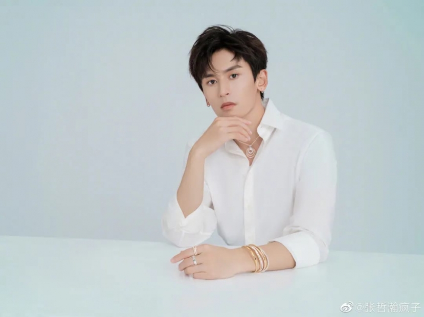 Trương Triết Hạn bị ép rời khỏi Cbiz và những sự thật đằng sau? - Ảnh 4 Trương Triết Hạn bị ép rời khỏi Cbiz và những sự thật đằng sau? - Ảnh 4