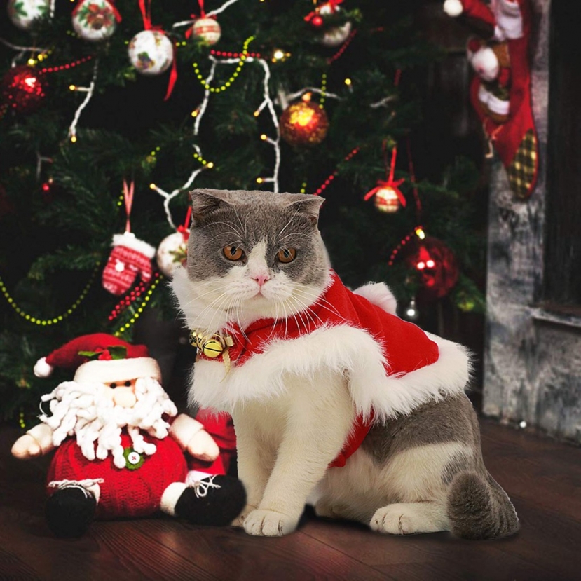Quà noel cho người yêu cứ chọn những món này, đỡ bị chê 'nhạt' đảm bảo nửa kia la hét vì sung sướng - Ảnh 6 Quà noel cho người yêu cứ chọn những món này, đỡ bị chê 'nhạt' đảm bảo nửa kia la hét vì sung sướng - Ảnh 6